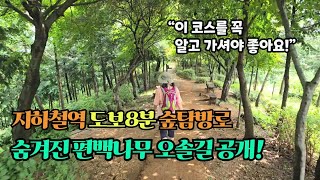 Forest trail, 8 minutes walk from Korea subway station.