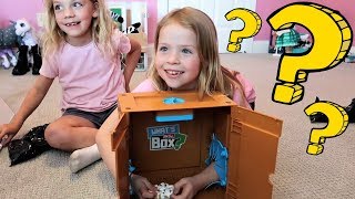 What's in the Box? CHALLENGE in Addy and Maya's Room!