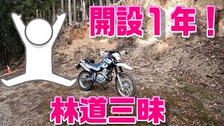 セローで行くソロ林道　和田田代林道起点側