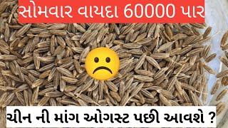 જીરું ના ભાવ  |ચીન ની માંગ આવશે| આજ ના જીરું ના ભાવ |cumin