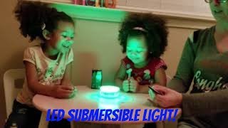 Alilimall Submersible LED Light Review with Khaleesi \u0026 Maya