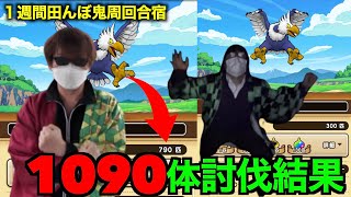 地方秋田で開始１週間究極にガチったヘルコンドル1090体討伐結果【ドラクエウォーク】