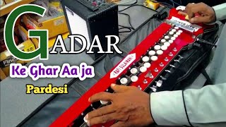 Udd Jaa Kaale Kaava ❤️| Gadar 2 | Banjo Cover 🎻| Instrument | ki ghar aaja Pardesi |