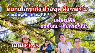 #กวินบินได้ EP.264 ดอกทะลักด้วยชุด #ผึ้งเทอร์โบ สวนพี่หนูพี่อาภรณ์ EP.5 #เมเม่ EP.45