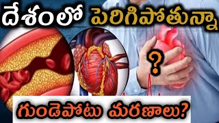 యువతలో గుండెపోటు మరణాలు ఎందుకు వస్తున్నాయి?full video in || H V Golden Facts