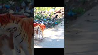 😂🐕🐯 Dog REACTION to Fake Tiger Very Funny Can't Stop Laughing 🤣