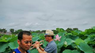 ＃108年度閩客音樂下鄉(文化傳承，發揚七嵌精神)，端午賞荷音樂趣＆小號獨奏《夜來香》＆陳茂雄老師演奏＆於沐心荷園。0608