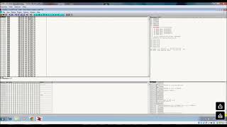 PE Shellcode Injection