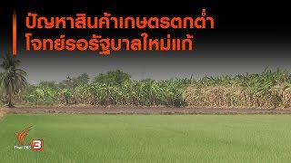 ปัญหาสินค้าเกษตรตกต่ำโจทย์รอรัฐบาลใหม่แก้ : ลงทุนทำกิน (24 ก.ค. 62)