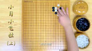 围棋 【职业棋手讲AI定式】小目 小飞挂（上）