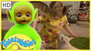 ★Teletubbies Everywhere ★ English Episodes ★ Feeding Lambs (Wales) ★ Full Episode (S2E49) - HD