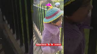 চিড়িয়াখানায় আমরা কি কি দেখলাম #babygirl #viral #zoo #minivlog #aliporezoo #yearend #shortsfeed