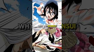 Why Did Shunsui \u0026 Ukitake Save Rukia? #bleach #bleachanime #anime