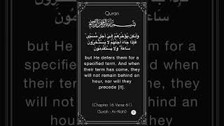 Quran Translation 16:61 #quran #shorts #surahannahl            #qurantranslation #quranrecitation