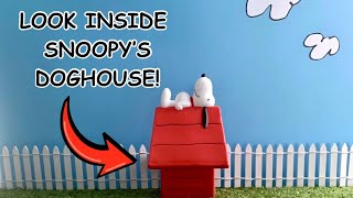 Inside Snoopy's Doghouse