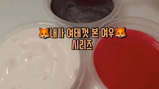 내가 여태껏 본 여우 🦊 시리즈/설참