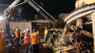 Fallen trees, floods and lightning! Hurricane Ian also caused damage in Venezuela