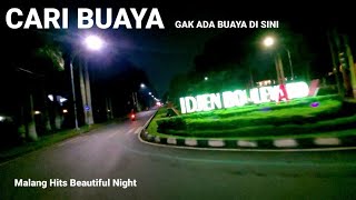 Beautiful Malang Hits Cinematic _ Stereo Love _ Dewa Dewi Ngetrip