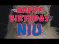 happy birthday niu crazy cats say happy birthday niu very funny