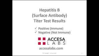 Hepatitis B Titer - Hep B Surface Antibody Test Results Overview