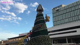 吉祥寺・巨大！クリスマスツリーの飾り付け｜2018クリスマス｜クリスマスイブ｜武蔵野市｜Christmas tree