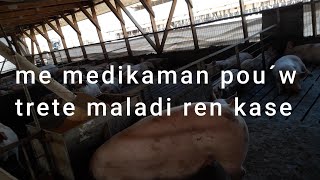 men medikaman pou´w lite kont maladi ren kase