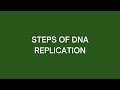 Steps of DNA Replication