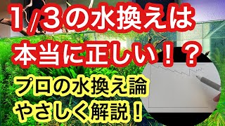 【水換え1/3はNG!?】プロが考えるアクアリウムの換水理論をやさしく解説します