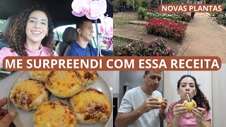 EM BUSCA DA GRAMA PARA O TERRENO, NOVAS PLANTAS, HAMBÚRGUER CASEIRO FÁCIL E MAIS