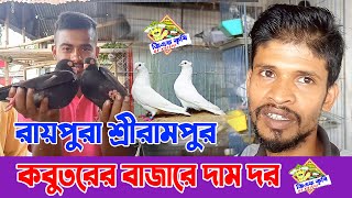 রায়পুরা শ্রীরামপুর কবুতরের বাজারে দাম দর পর্ব-২৩।Raipura Srirampur pigeon market price Ep 23