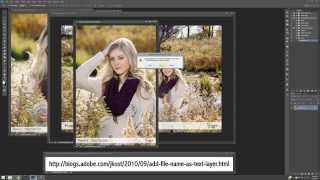 Batch Watermarking Proofs