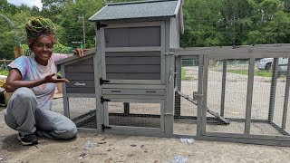 Will This Save My Polish Chickens!? / Aivituvin Prefab Chicken Coop