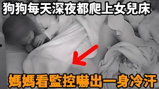 狗狗每天深夜都爬上女兒的床，媽媽好奇查看監控，下一秒卻嚇得臉色大變！#狗狗 #感動 #淚目 #不可思議 #震驚 #奇跡 #心靈飼養員