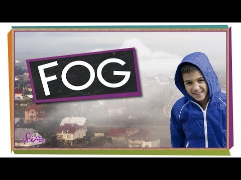 Where Does Fog Come From? Weather Science SciShow Kids