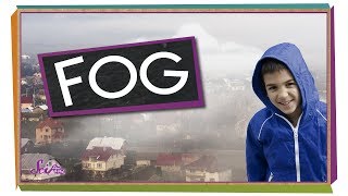 Where Does Fog Come From? | Weather Science | SciShow Kids