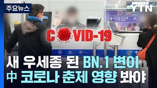 BN.1, 국내 새 우세종으로...\