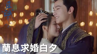 吃糖啦！蘭息在母親面前求婚白夕，白風夕：我願意!「且試天下」| WeTV