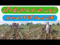 Jadeed Machinery|| Jadeed Technology|| Farming in Pakistan