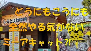 【香川県観光】　しろとり動物園に行ってみた！　【動物園】