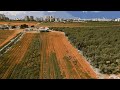 Leket Israel - Volunteers