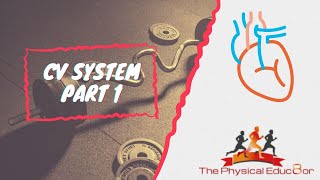 Physical Educ8or: IB SEHS: Cardiovascular System Part 1