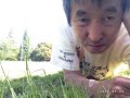 自撮り 2018.4.29. 城北公園 写真集　＃城北中央公園