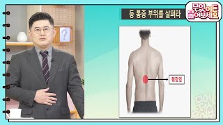 등 통증 부위를 살펴라! 등 가운데가 찌르거나 쥐어짜듯 아프다면 췌장염을 의심하세요!  [무엇이든 물어보세요] | KBS 231127 방송