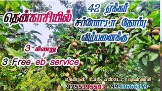 #தென்காசி || ஆலங்குளம் அருகில் 🌴|| 3 கிணறு  இலவசமின் இணைப்பு அடங்கிய 42 சப்போட்டா தோப்பு விற்பனைக்கு