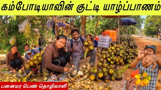 கம்போடியாவின் குட்டி யாழ்ப்பாணம் Cambodia National Fruit 🍉 | Jaffna Suthan