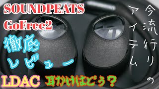 サウンドピーツGoFree2の徹底レビュー①まずは商品の概要から説明します