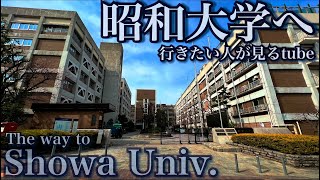 🎓♯69【4K】昭和大学旗の台キャンパスへご案内【行き方/アクセス/旗の台駅】The way to Showa Univ.JAPAN TOKYO walking tour guide