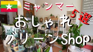 ミャンマー、おしゃれカフェ５選！ 観葉植物でお部屋を癒しの空間にしてみました！