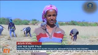 ATV: ግንባር ምብራቕ - ህዝባዊ ሰራዊት ትግራይ በቲ ሓደ ብረት በቲ ሓደ ማዕጺድ ሒዙ ንጽጉማት ወገናቱ ብዓጺድ ይሕግዝ