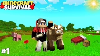 Minecraft survival Series Ep-1 In Hindi